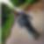 Profilbild von Swenja Cunow