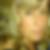 Profilbild von Renate Zietlow