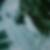 Profilbild von Sandra E. Bach