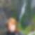 Profilbild von Melanie Bender