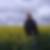 Profilbild von Michael Berning