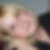 Profilbild von Janine Ramisch