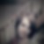 Profilbild von Jessica Brikey