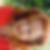 Profilbild von Brigitte Fink