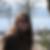 Profilbild von Britta Wegerle