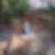 Profilbild von Silke Lieder