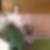 Profilbild von Sabine Essling