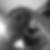 Profilbild von Michael Napp