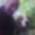 Profilbild von Wolfram Graupner