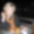 Profilbild von Simone Hilbig