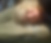 Profilbild von Bianka Mattwich