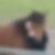 Profilbild von Peggy Hamisch