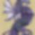 Profilbild von Karsten Freese