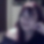 Profilbild von Elke Schöner