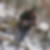 Profilbild von Alexander Fischer