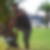 Profilbild von Recep Altin