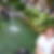 Profilbild von Hannelore Rittinger