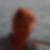 Profilbild von Wolfgang Dr. Bornheim 