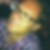 Profilbild von Mathias Friedrichs