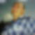 Profilbild von Matthias Neudeck