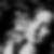 Profilbild von Manuela Crouse