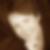 Profilbild von Judith Rehwald
