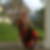 Profilbild von Liane Geipel