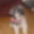 Profilbild von Heinz Steinbring