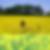 Profilbild von Thomas Schmortte