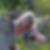 Profilbild von Doris Florenz
