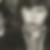 Profilfoto von Thomas Appel