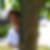 Profilbild von Christel Krämer
