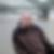 Profilbild von Peter Klempert