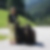 Profilbild von Helga Walter