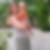 Profilbild von Doreen Landes