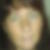 Profilbild von Corinna Stephanie Stolle