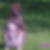Profilbild von Birte Maatouk