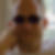 Profilbild von Martin Bock