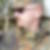 Profilbild von Florian Möller