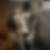 Profilbild von Doris Diouf