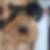 Profilbild von Christian Neye