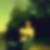 Profilbild von Maximilian Grewin