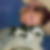 Profilbild von Sven Theiß