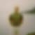 Profilbild von Thomas Huperz