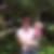 Profilbild von Janet Strehlow