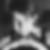 Profilbild von Anna Buchholz