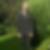 Profilbild von Timo Barschke