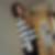 Profilbild von Francesca Boom