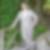 Profilbild von Roland Frech
