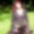 Profilbild von Kathrin Mittmann